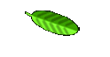 Mail